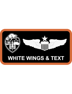 Image for AFROTC Det 685 Name Tag