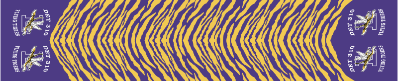 Det 310 Flight Scarf, Louisiana State University