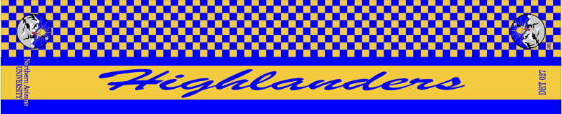 NAU Det 27 Flight Scarf