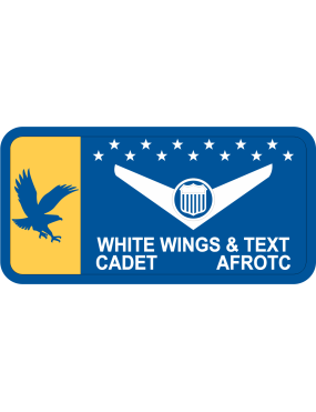 Image for AFROTC Det 028 Name Tag