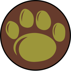 Image for AFROTC Det 720 Paw OCP Patch