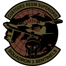 Image for AFROTC Det 157 Squadron 3 Sentinels OCP Patch