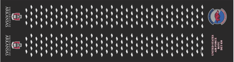 AFROTC Det 030 Flight Scarf