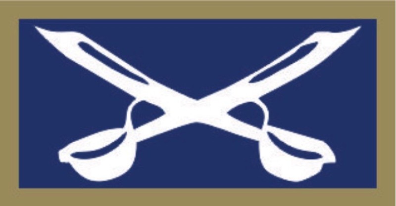 Charleston Southern Univ Pocket Tab