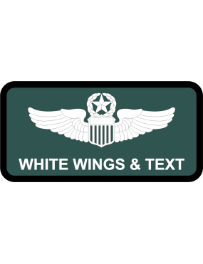 Image for 101 ARW Name Tag