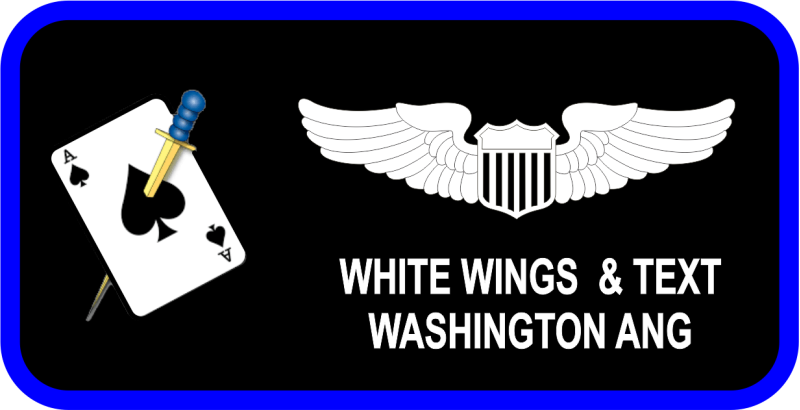 116 ARS Aces Officers Name Tag