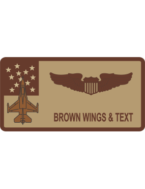 Image for 134 FS / 158 FW - F-16 Desert Name Tag