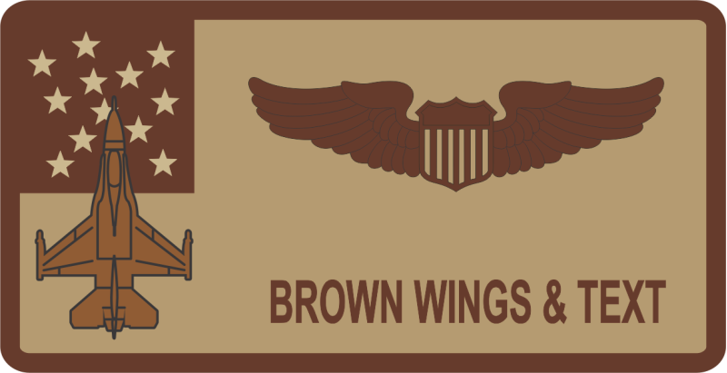 134 FS / 158 FW - F-16 Desert Name Tag 