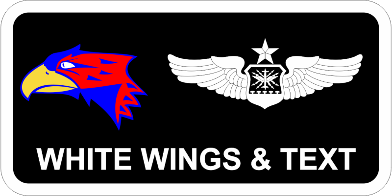 184 IW Det 1 Jayhawk Name Tag