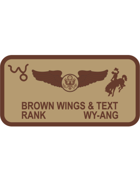 Image for 187 AES Desert Name Tag