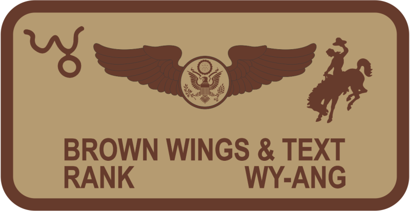 187 AES Desert Name Tag 