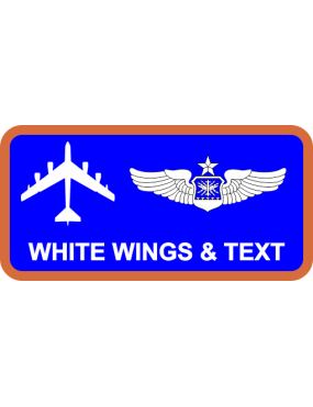 Image for 152 COS Name Tag, NY ANG
