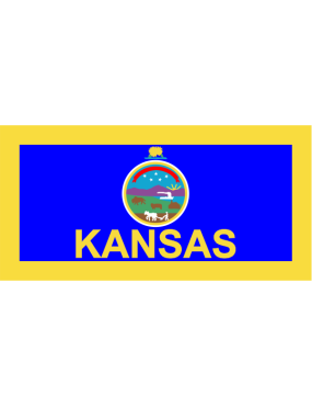 Image for 117 ARS Kansas ANG State Flag Pocket Tab