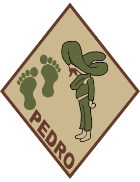 Image for 101 RQS Pedro with Green Feet Patch