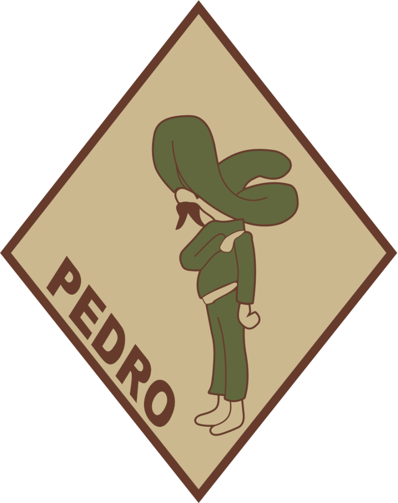 101 RQS Pedro Desert Patch