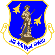 Image for 131 FS ANG with Yellow F-22 Full Color Patch