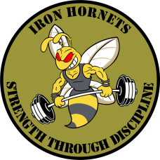 Image for Iron Hornets NC ANG Patch