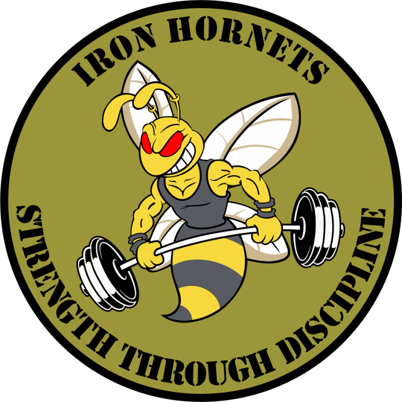 Iron Hornets NC ANG Patch