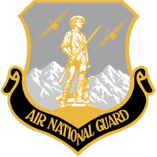 Image for 187 AS Air National Guard C-130 Gray & Yellow Patch