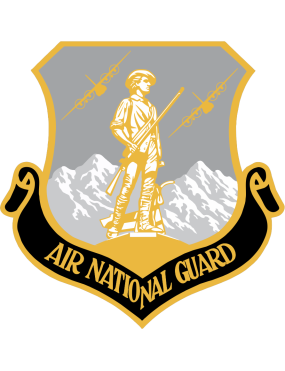 Image for 187 AS Air National Guard C-130 Gray & Yellow Patch
