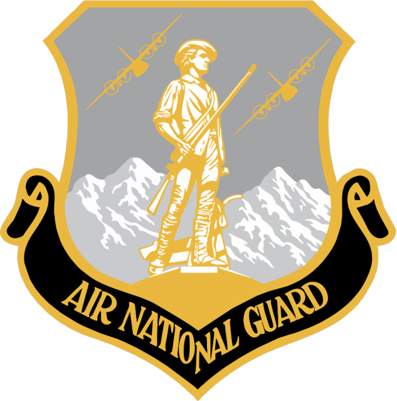 187 AS Air National Guard C-130 Gray & Yellow Patch