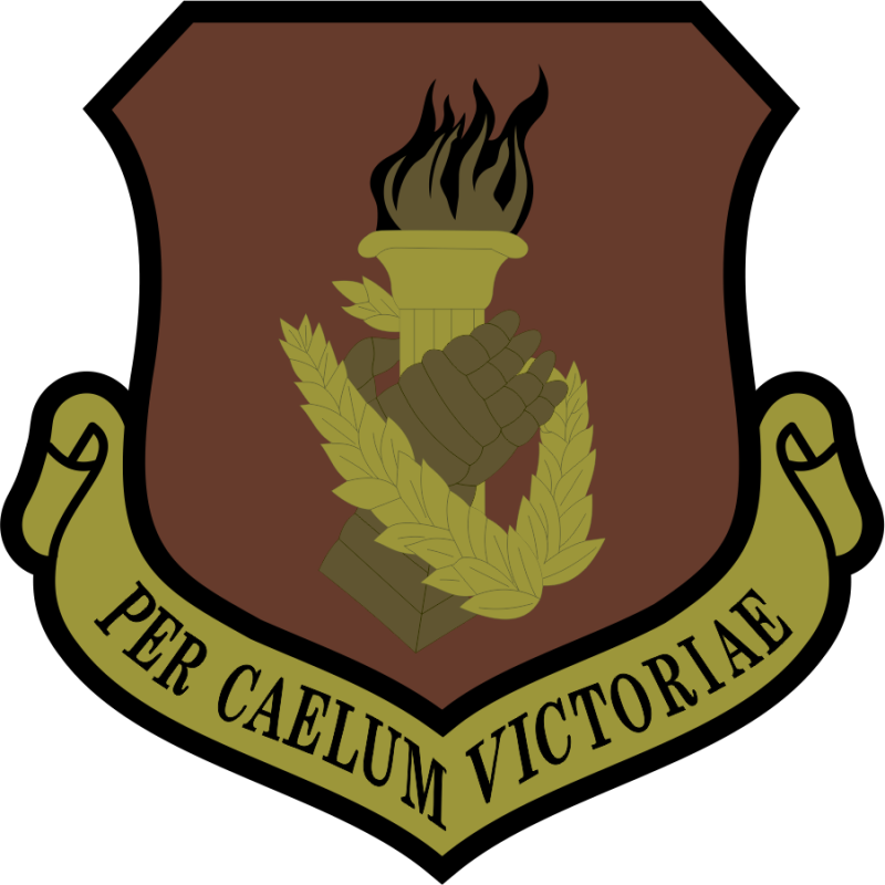 108 Wing NJ ANG Per Caelum Victoriae OCP Patch