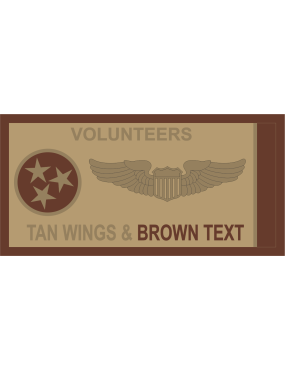 Image for 151 ARS Tennessee ANGB Desert Name Tag