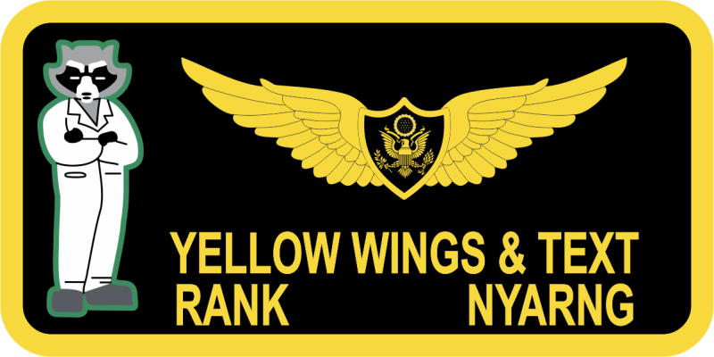Aeronautical Familiarization Inc Name Tag 