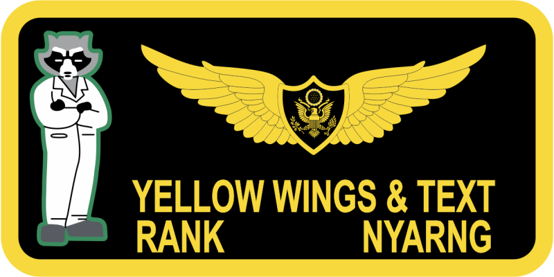 Aeronautical Familiarization Inc Name Tag 