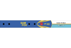 Image for 1 AS C-32 Bag Tag, Andrews AFB