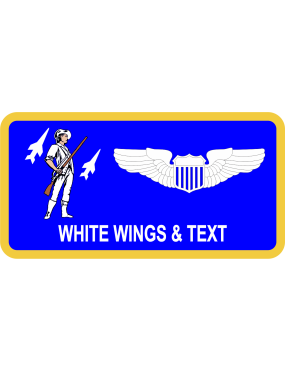Image for 201 AS Stylized Nondescript Aircraft Name Tag