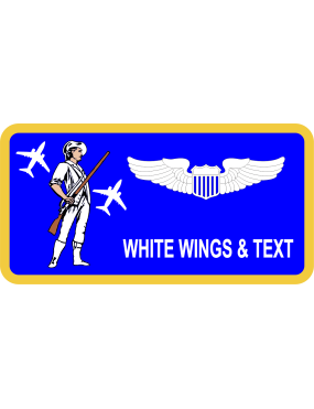 Image for 201 AS Minuteman with C-17 Name Tag