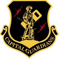 Image for 201 AS Minuteman Capital Guardians  Patch