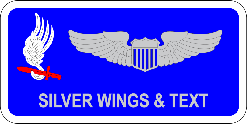 173 Airborne Brigade Name Tag