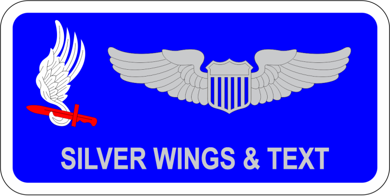 173 Airborne Brigade Name Tag