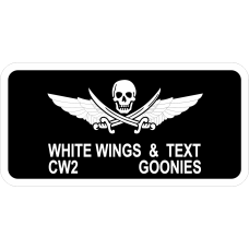 Image for A/1-228 AVN Regt Skull with Wings & Swords Name Tag
