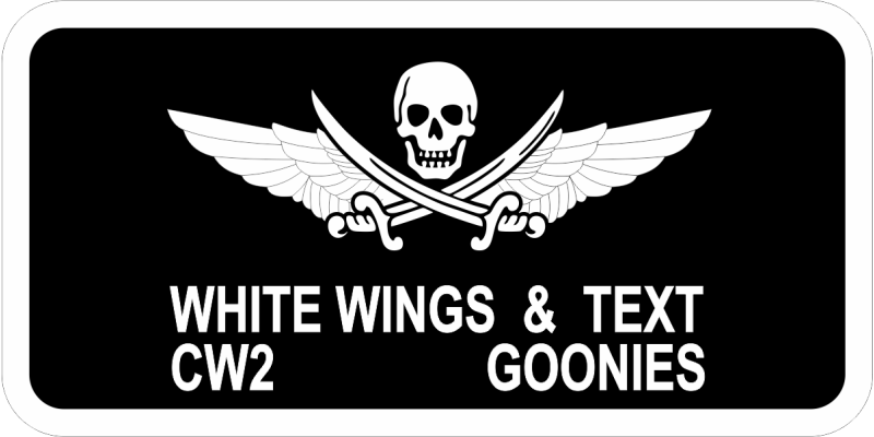 A/1-228 AVN Regt Skull with Wings & Swords Name Tag