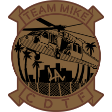 Image for 1-140th Aviation Regiment Team Mike CDTF Desert Patch