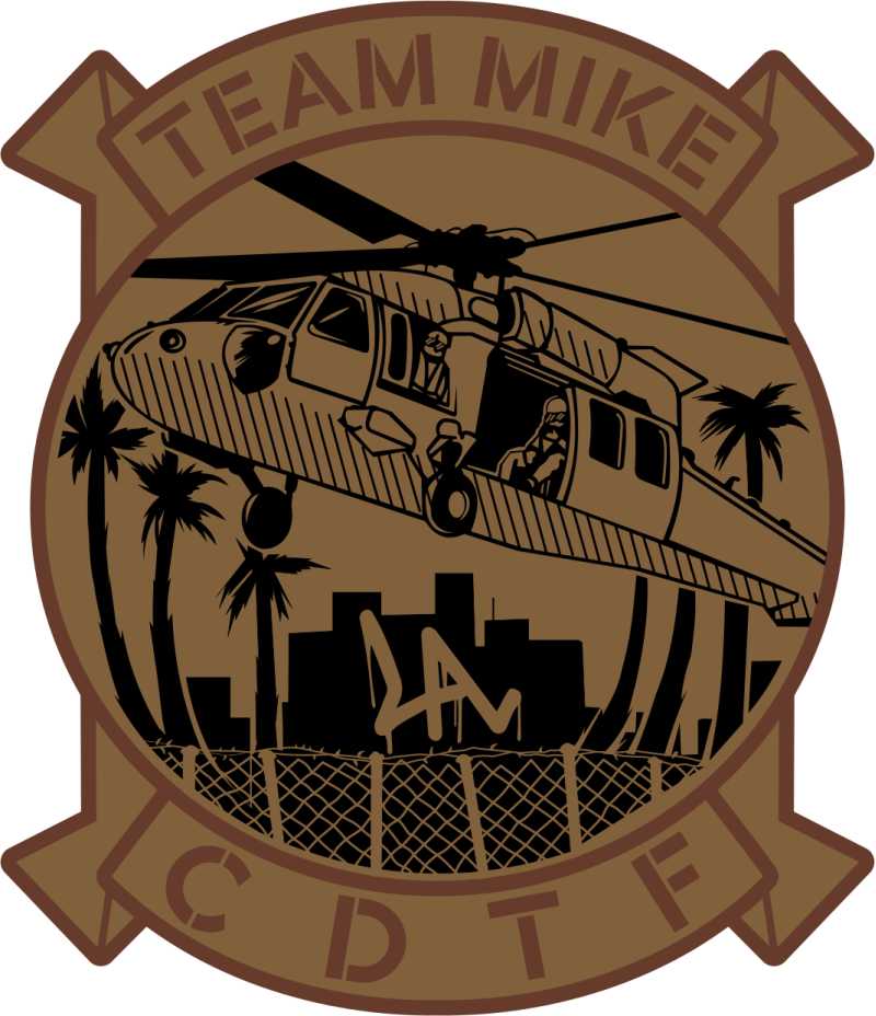 1-140th Aviation Regiment Team Mike CDTF Desert Patch