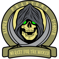 Image for 1-140th Aviation Regiment No Rest For The Wicked Glow-In-The-Dark Eyes Patch