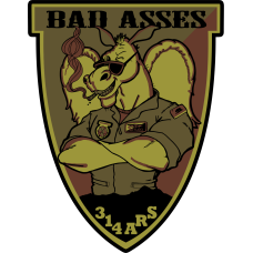Image for 314 ARS Bad Asses OCP Patch