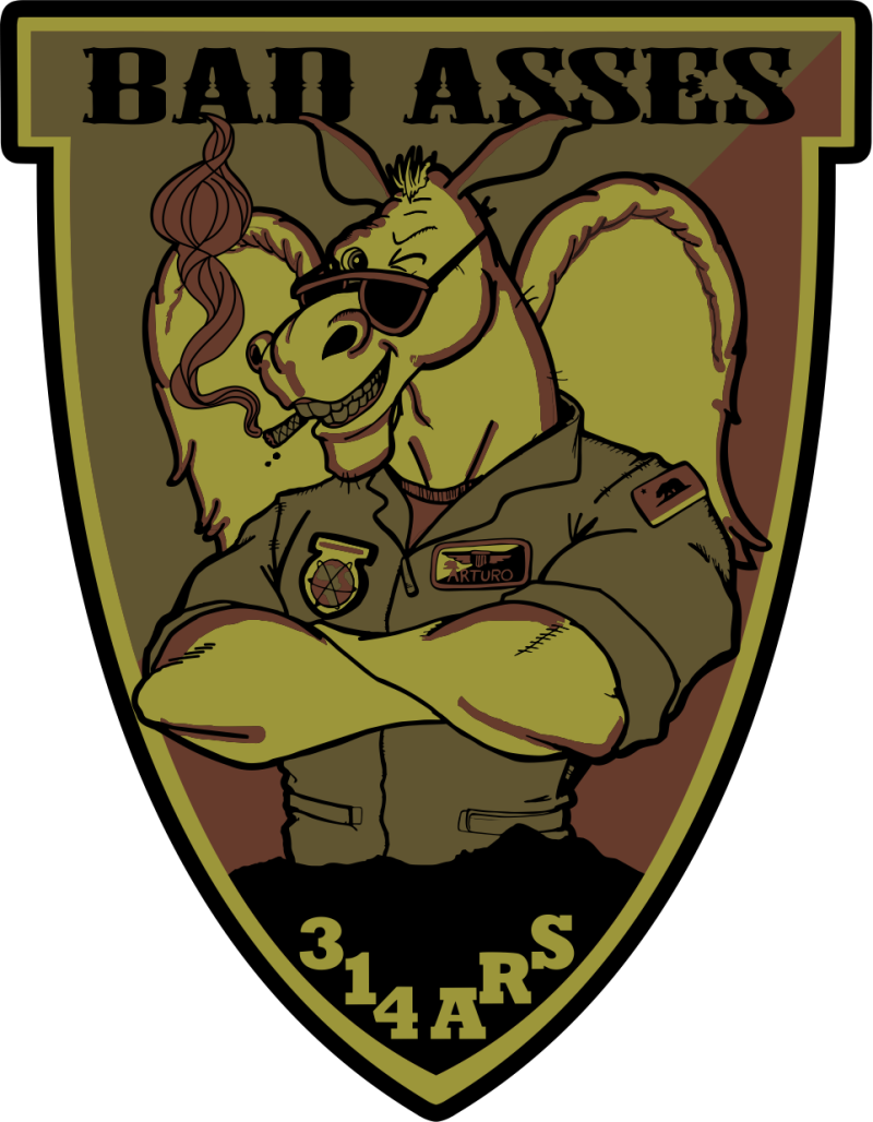 314 ARS Bad Asses OCP Patch