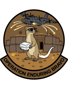 Image for 10 EAES Operation Enduring Bravo Patch