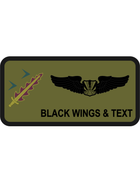Image for 56 SOIS Fighting Dagger with Deltoids OD Green Name Tag