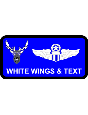Image for 628 CPTS Name Tag