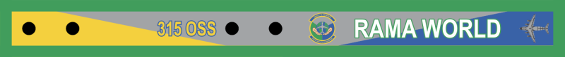 315 OSS Bag Tag, Charleston AFB 