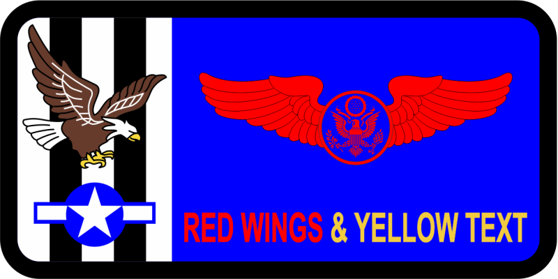 15 AS Invasion Stripes with Eagle Name Tag