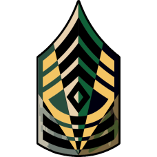 Image for Army First Sergeant Chevron 6 Panel