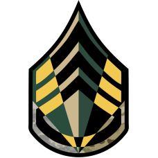 Image for Army SSG Chevron 6 Panel Patch
