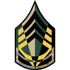 Image for Army SFC Chevron 6 Panel Patch